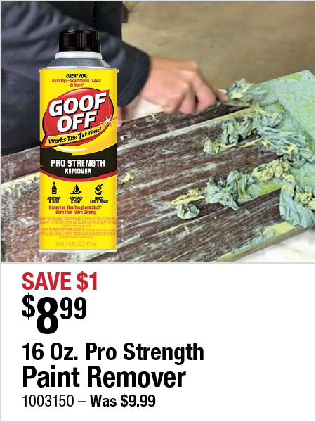 16 Oz. Pro Strength Paint Remover